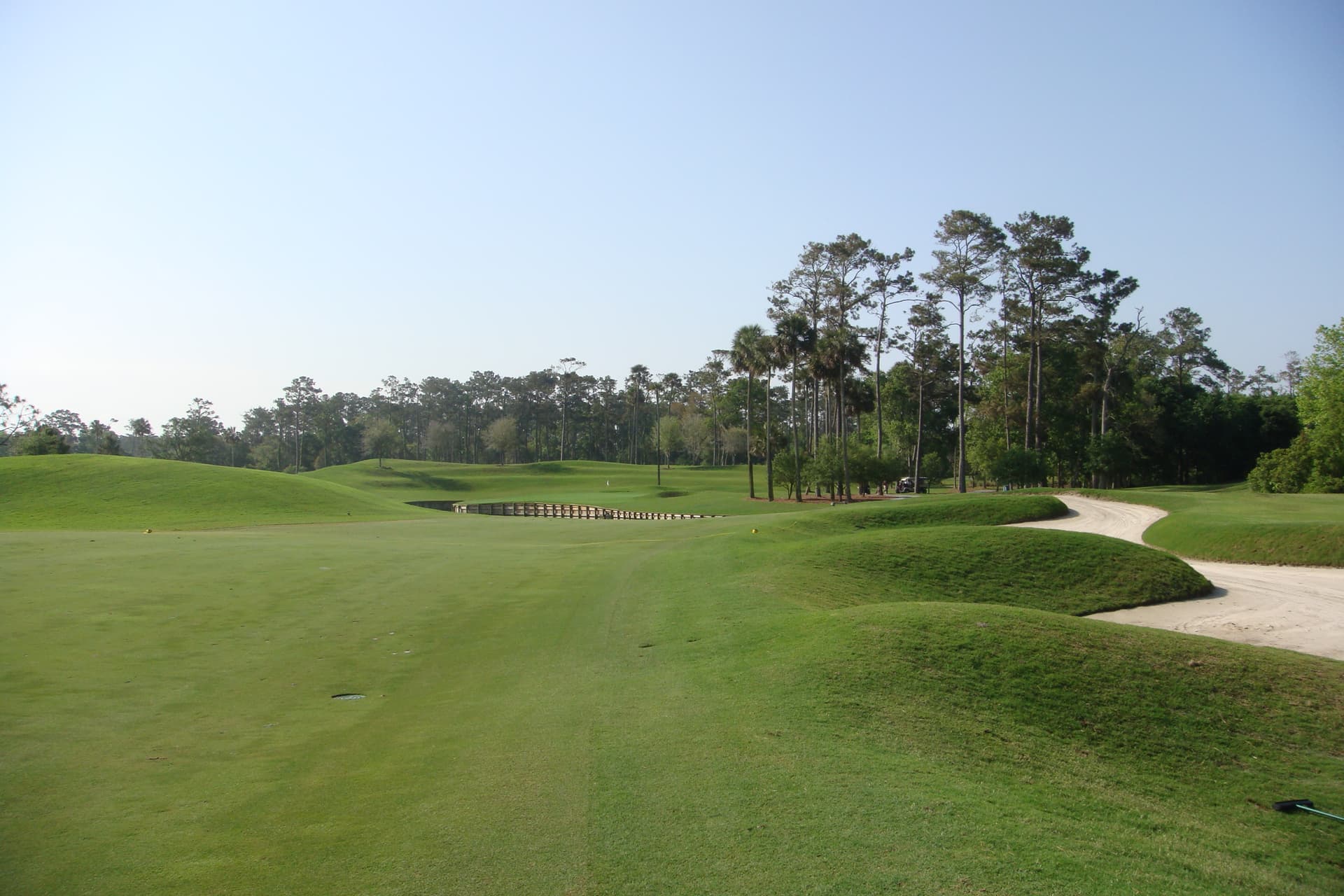 Fairway, mounds, and pines on the TPC Sawgrass campus